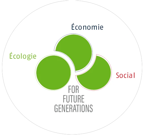 L'illustration du concept de durabilité ABUS avec les trois thèmes principaux Environnement, Économie et Enjeux sociaux avec l'inscription « For future generations » © ABUS