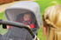 Application example - Insect protector universal for prams JC6460 MAYA