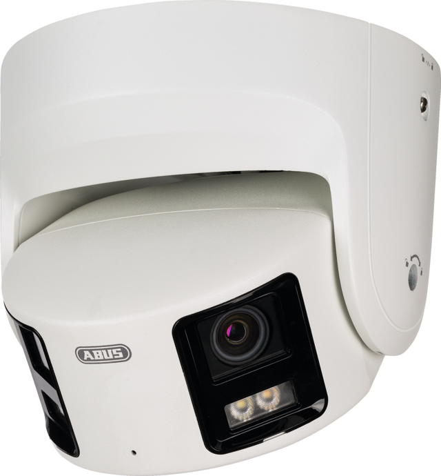 IP Panorama Dome 8 MPx (180°, WL)