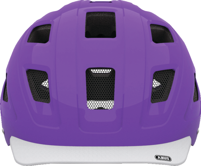 Hyban brilliant purple vista frontal