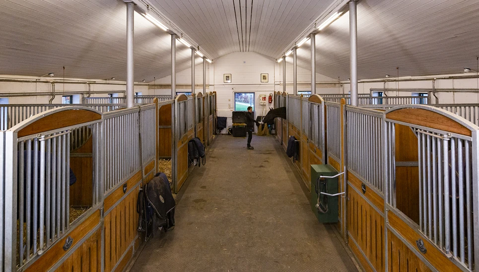 Blick in die Stallgasse - jederzeit ein sicheres Gefühl
