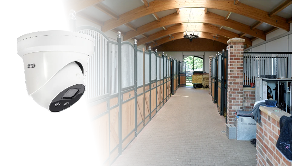 IP Kugeldome Stallungen