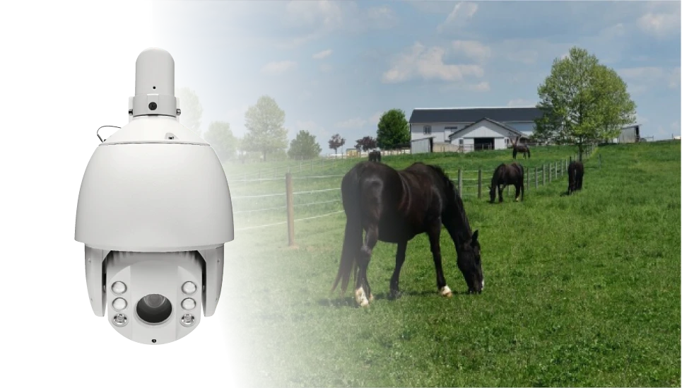 Analog HD Kamera Koppel