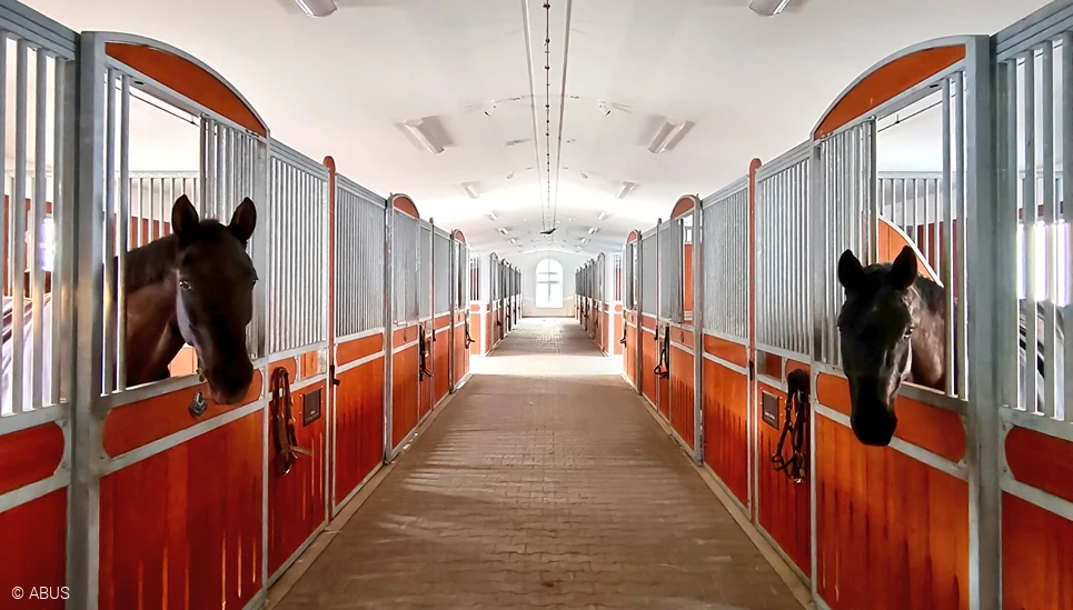 Blick in die Stallgasse des Amberhofes. © ABUS
