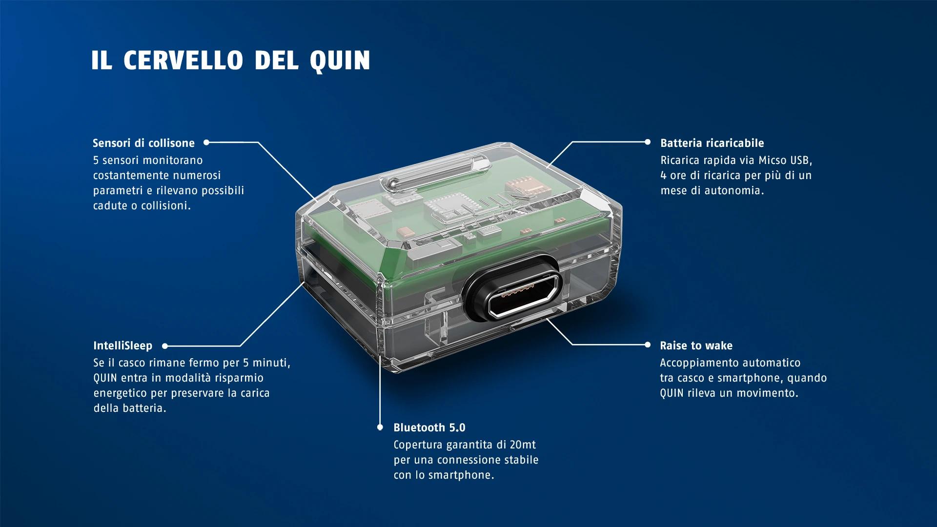 Il Cervello Del Quin