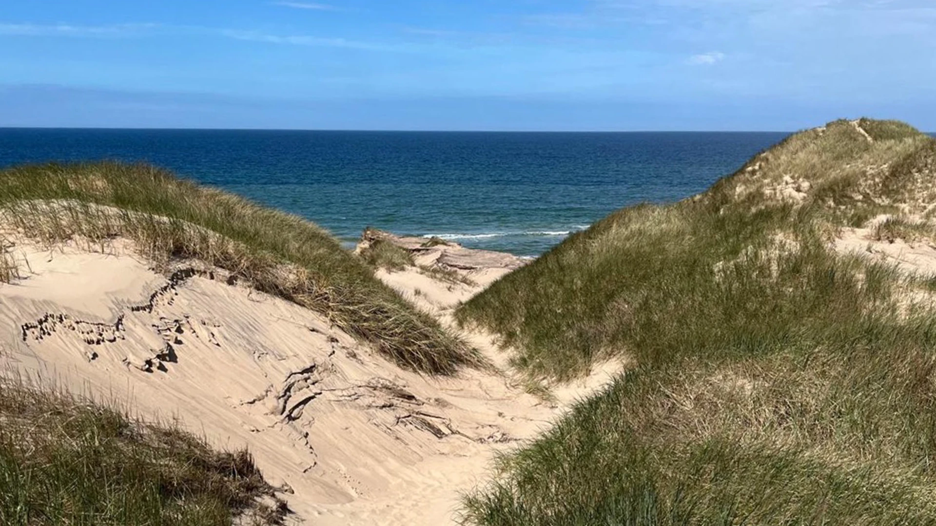 Students abroad mit Tobias© ABUS