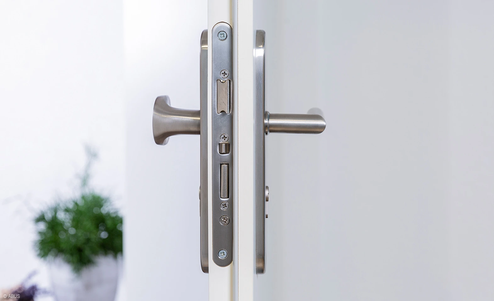 Our mortise locks - for front doors, corridor doors, bathroom and WC © ABUS