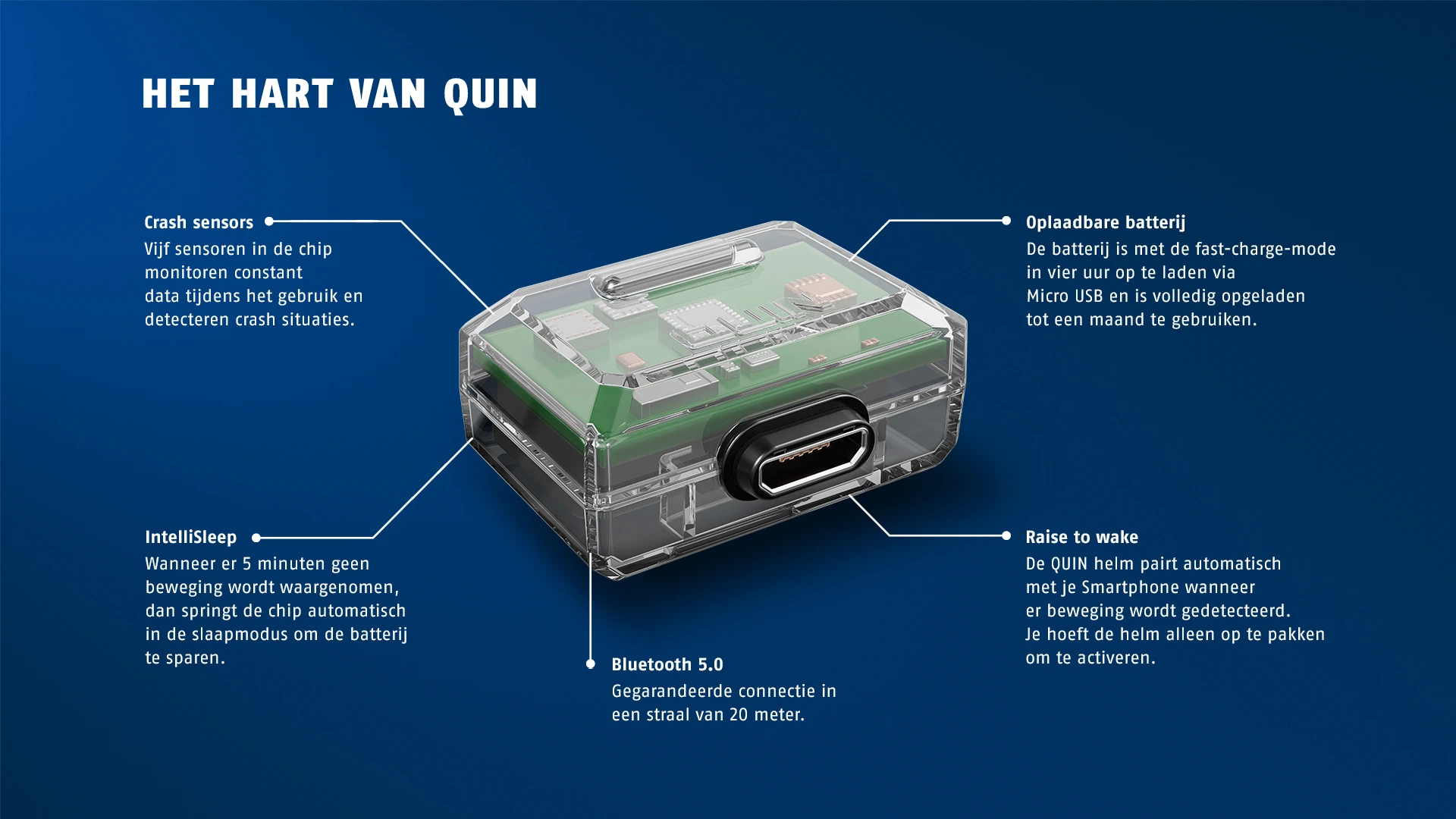 Het hart van Quin