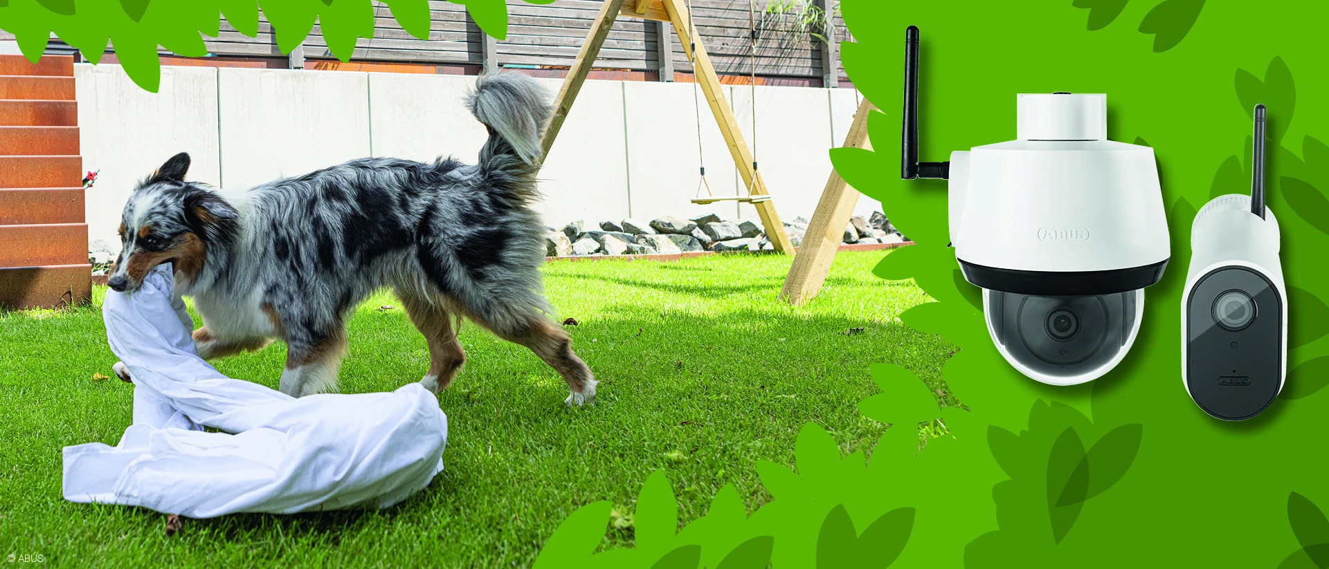 Endlich Frühling - darüber freuen sich auch unsere Vierbeiner.