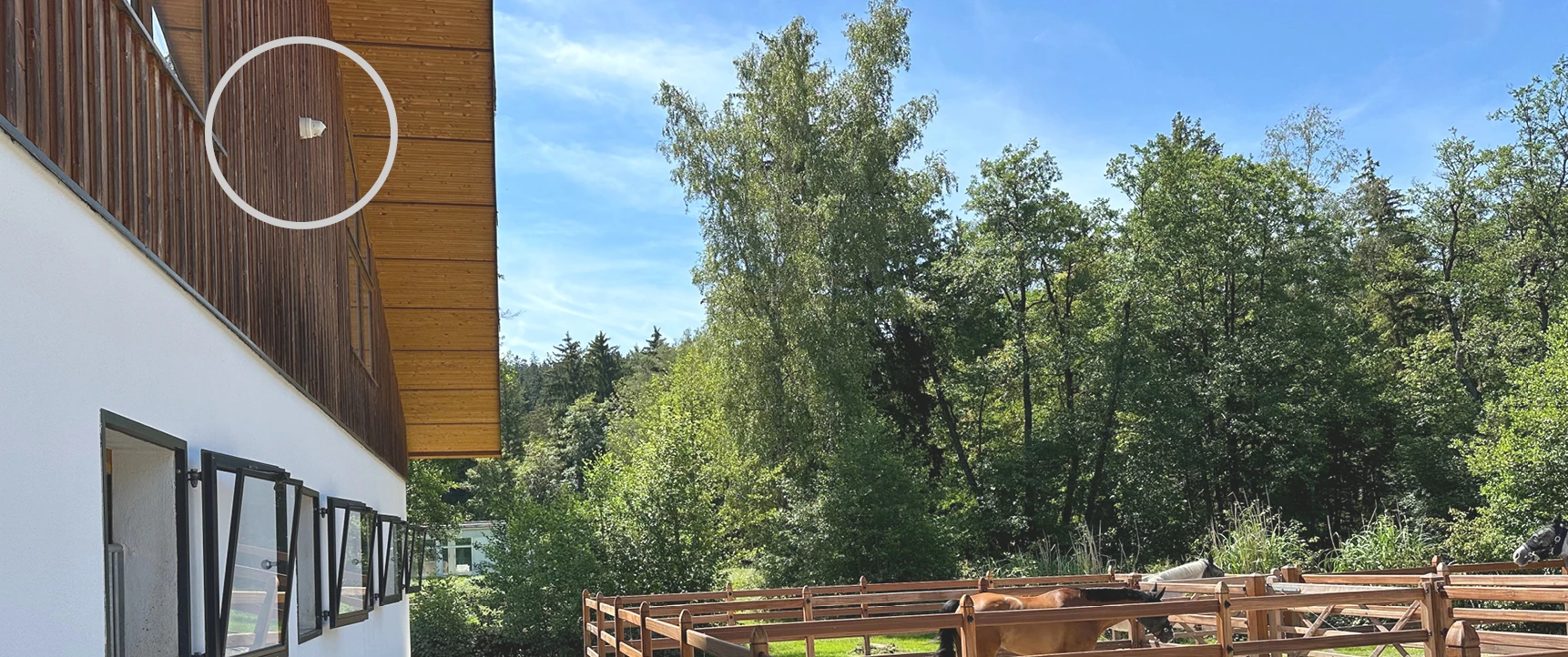 Videoüberwachung des Offenstalls auf Gut Haunhorst