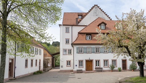Ein denkmalgeschütztes Ensemble - die Deetken-Mühle in Mosbach