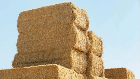 Brandfrüherkennung - besonders wichtig zur Erntezeit