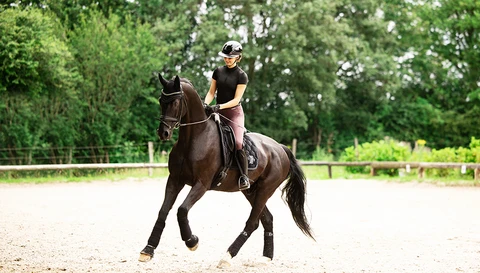 AirLuxe Chrome shiny black Long Visor ©ABUS