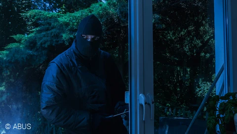 Crime statistics 2021 - Crime finds a way © ABUS