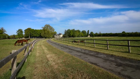 Zufahrt entlang der Koppeln