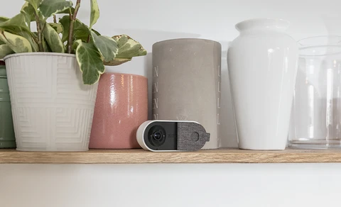 Die Privacy Innenkamer auf einem Regal inmitten pastellfarbener Gefäße.