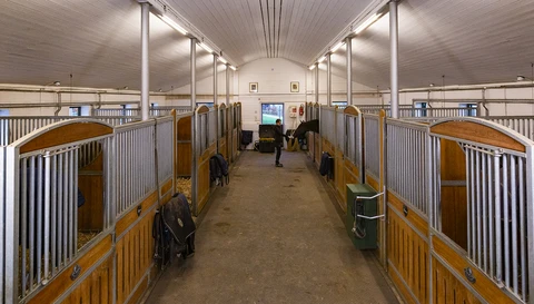 Blick in die Stallgasse - jederzeit ein sicheres Gefühl