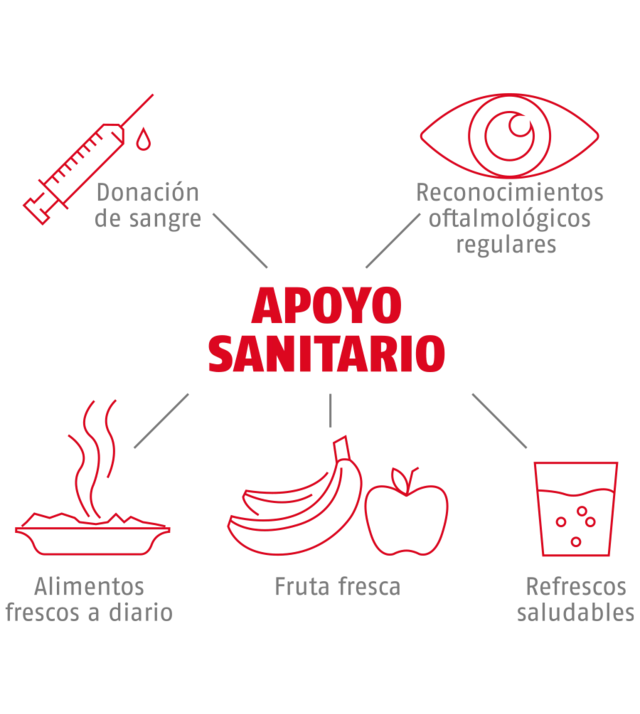 Apoyo sanitario