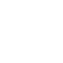 Icon Blinklicht