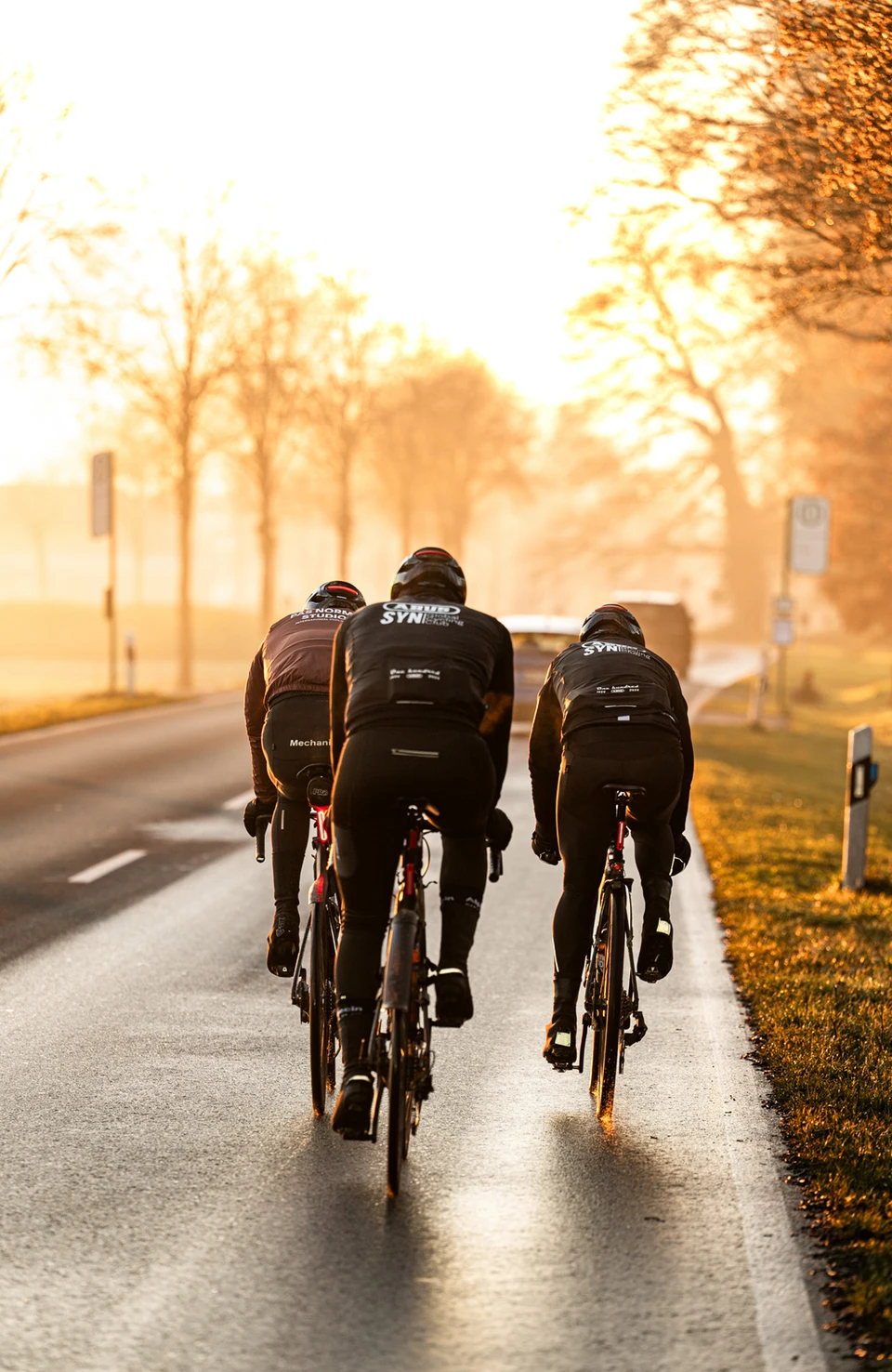 Drei Rennradfahrer tragen Taipan-Helme und fahren bei Sonnenaufgang auf einer Landstraße © ABUS