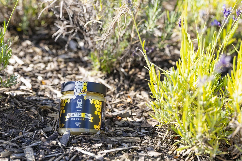 Das Ergebnis: 100 Gl&auml;ser &agrave; 250 g &bdquo;Schlosshonig&ldquo; &copy; ABUS