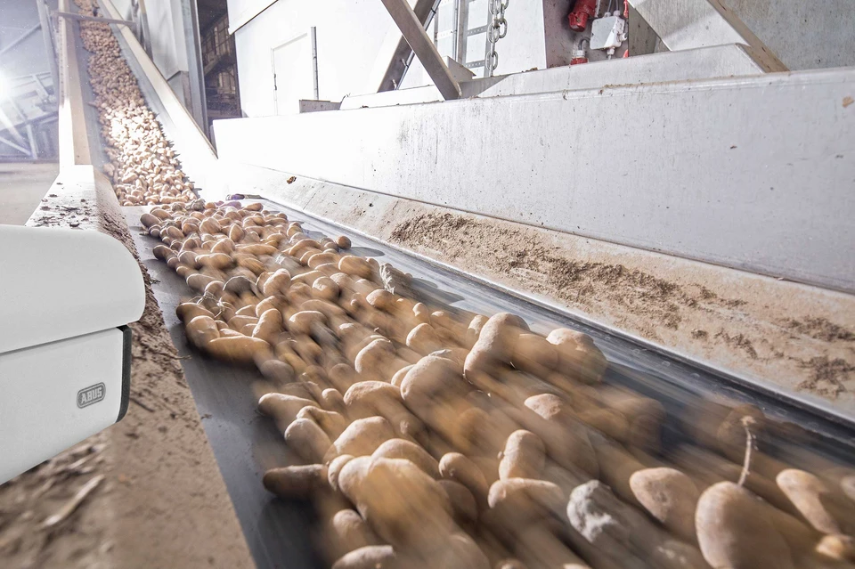 Bei Ecofrost in Belgien beginnt der Produktionsprozess mit dem Eintreffen der unverarbeiteten Kartoffeln, stets dokumentiert dank ABUS Videoüberwachung.