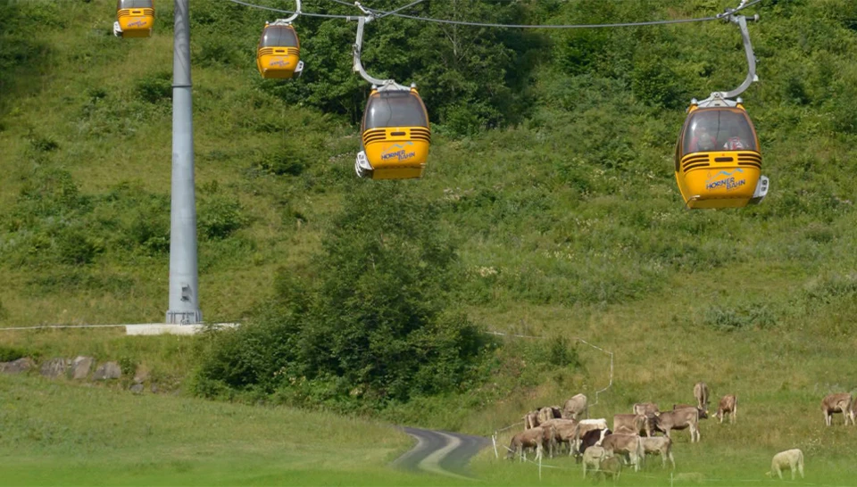 Die Landschaft der Hörnerbahn mit gelben Gondeln